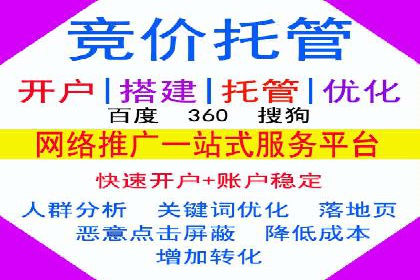 案例研究：SEM推广助力企业业绩增长