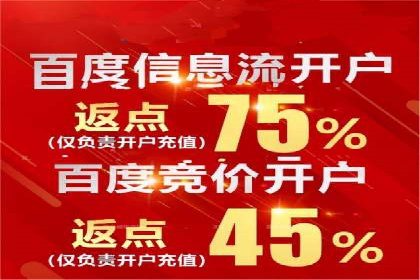 百度推广实战案例：如何精准投放广告